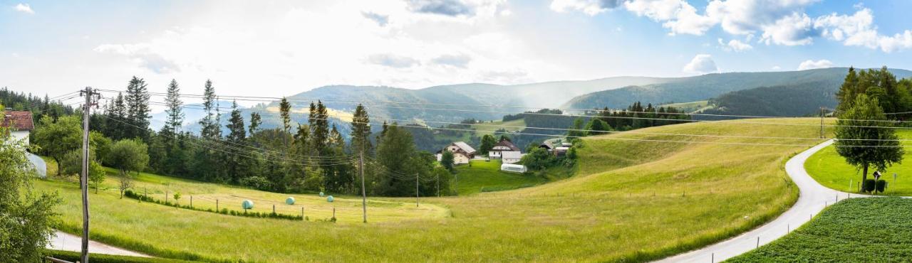 Apartma Tia 2 Zrece Bagian luar foto
