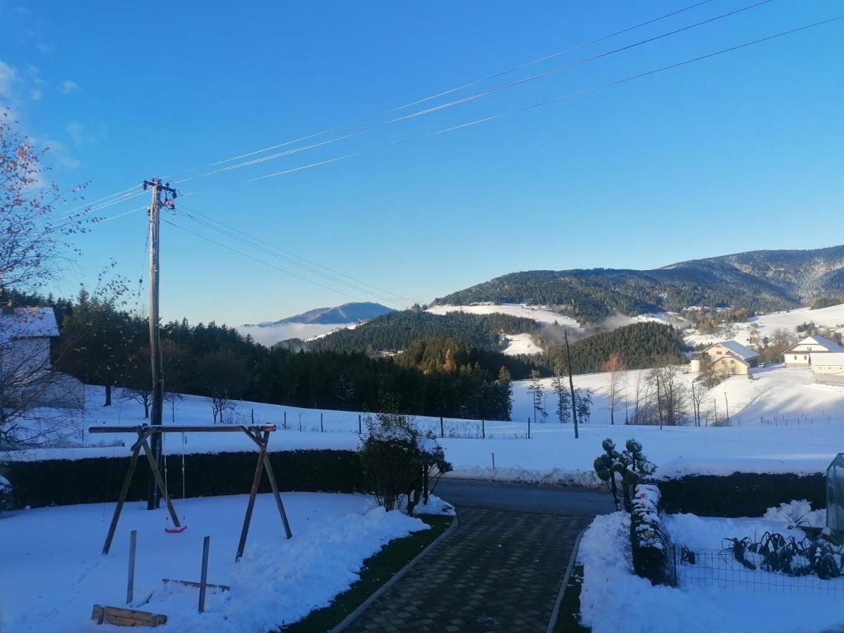 Apartma Tia 2 Zrece Bagian luar foto